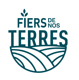 logo-fdt-transparent